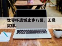 九城游戏中心官网-世界杯遗憾止步八强，无缘奖牌。