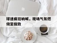 九城游戏中心官网-球迷疯狂呐喊，现场气氛燃烧至极致