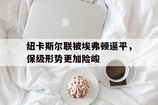 纽卡斯尔联被埃弗顿逼平，保级形势更加险峻